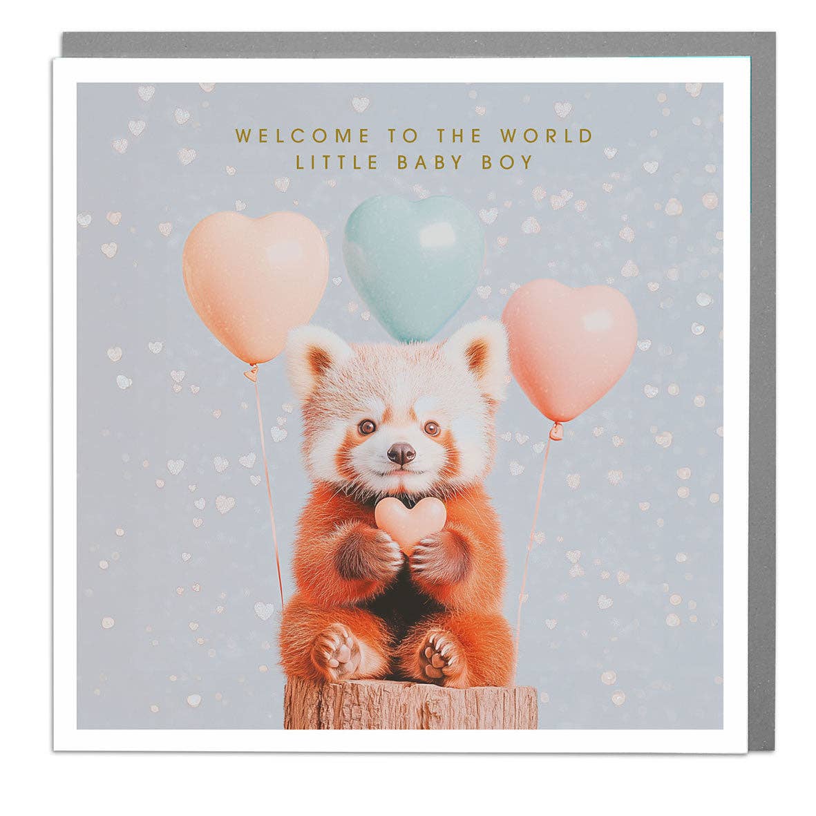 Red Panda New Baby Boy Card