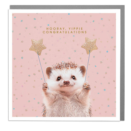 Hedgehog - Hooray, Yippie, Congratulations Card
