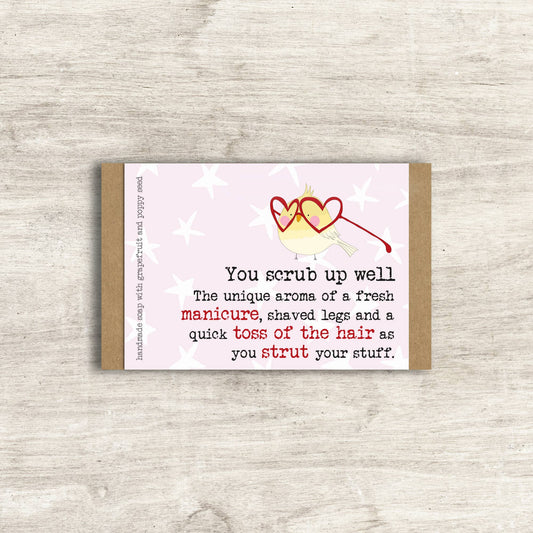 You Scrub Up Well - Humorous Soap
