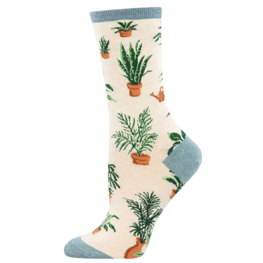 Socks & Chocs (vegan)