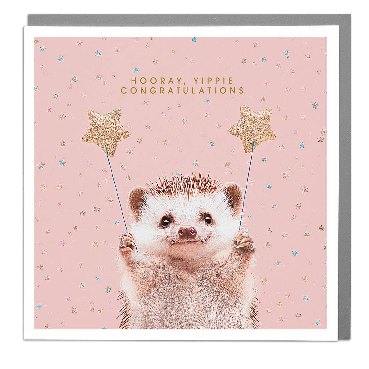 Hedgehog - Hooray, Yippie, Congratulations Card